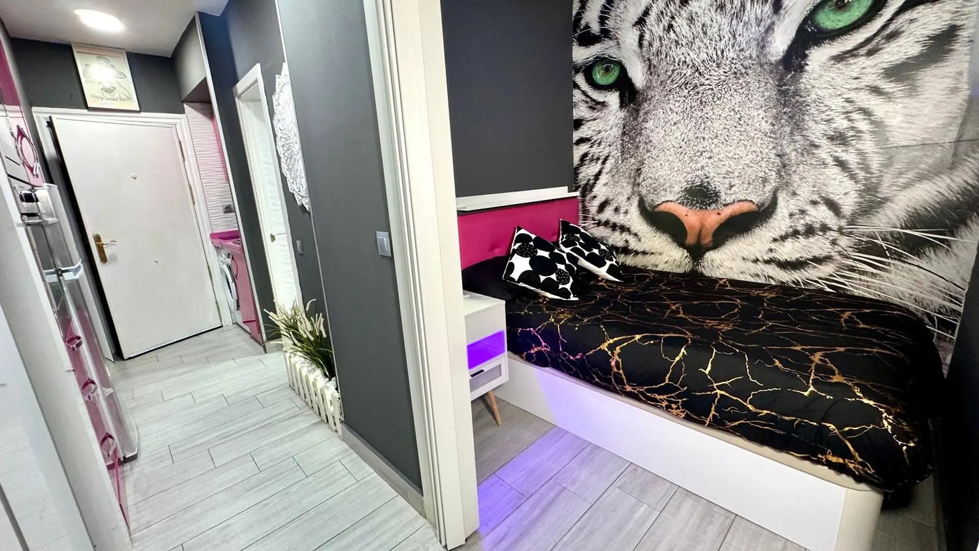 Centrico Luxury Pink Apartment Torremolinos 0*,  Spain
